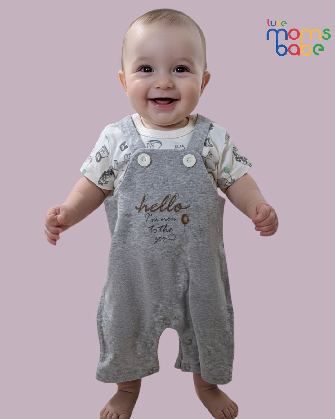 baby t shirt and short overalls set or romper set